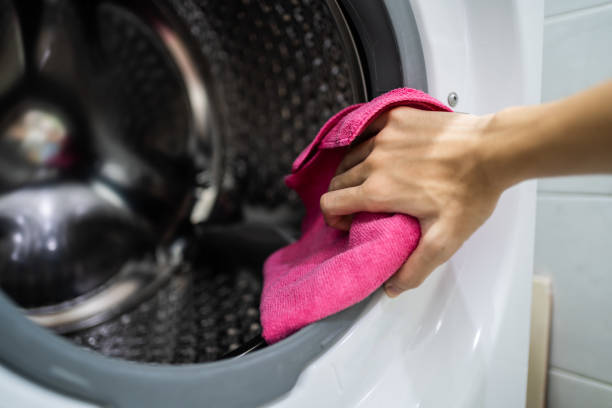 Professional Mold Removal in Weaverville, CA