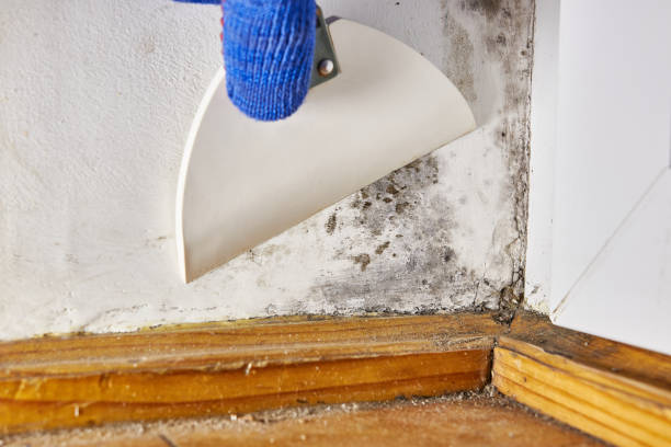 Best Post-Remediation Verification Testing  in Weaverville, CA
