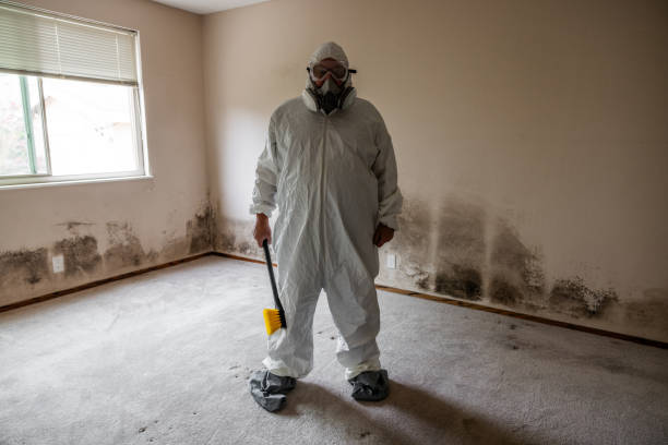 Best Attic Mold Removal  in Weaverville, CA