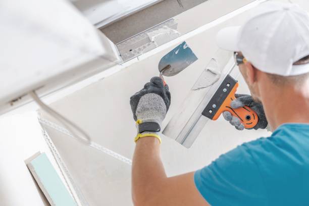 Biohazard Mold Removal in Weaverville, CA